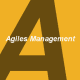 Agiles Management
